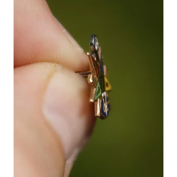 Vintage 10k Solid Gold‎ Past Patron Order of The Eastern Star Diamond Pin Enamel